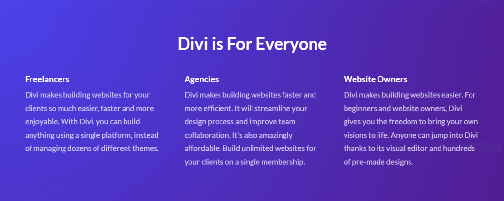 divi theme for everyone